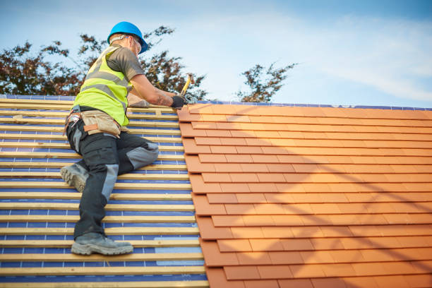 Best Solar Panel Roofing Installation  in Concord, VA